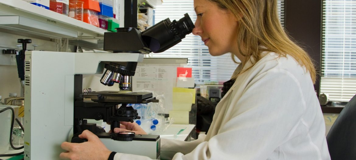 fertility and infection