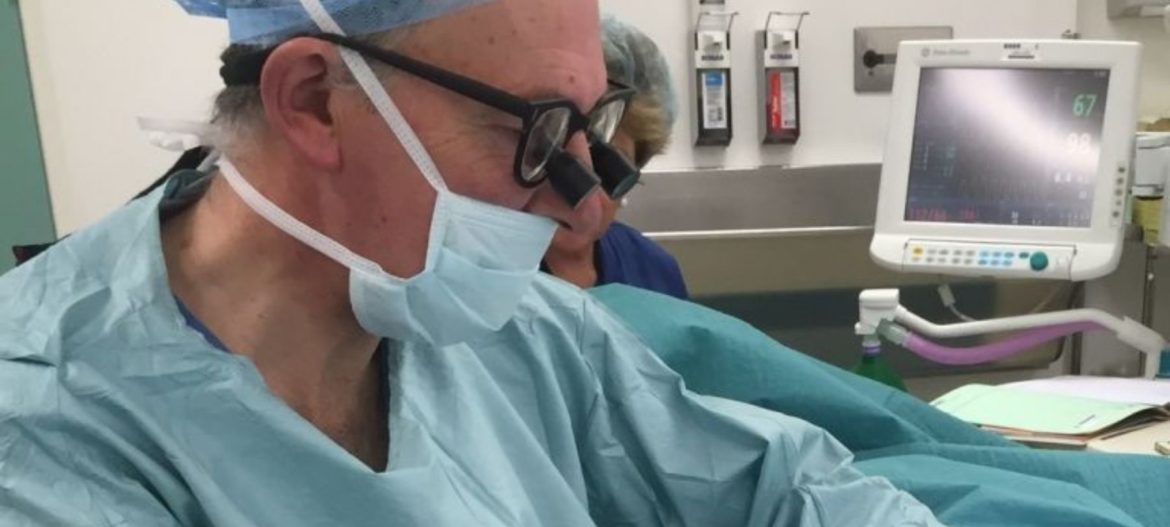 Male fertility tests