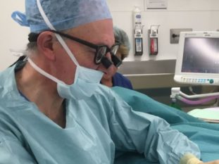 Male fertility tests