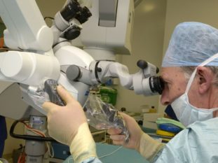 Jonathan Ramsay Semen Analysis