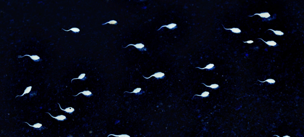 Mr Jonathan Ramsay Azoospermia