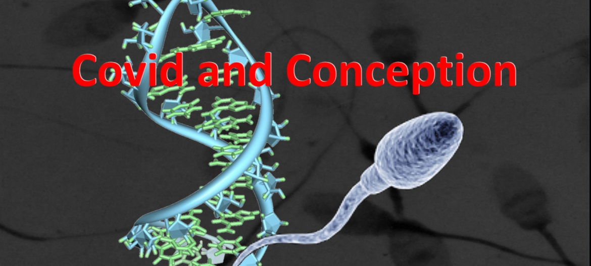 Mr Jonathan Ramsay (11) Covid and Conception