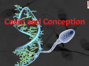 Covid and Conception