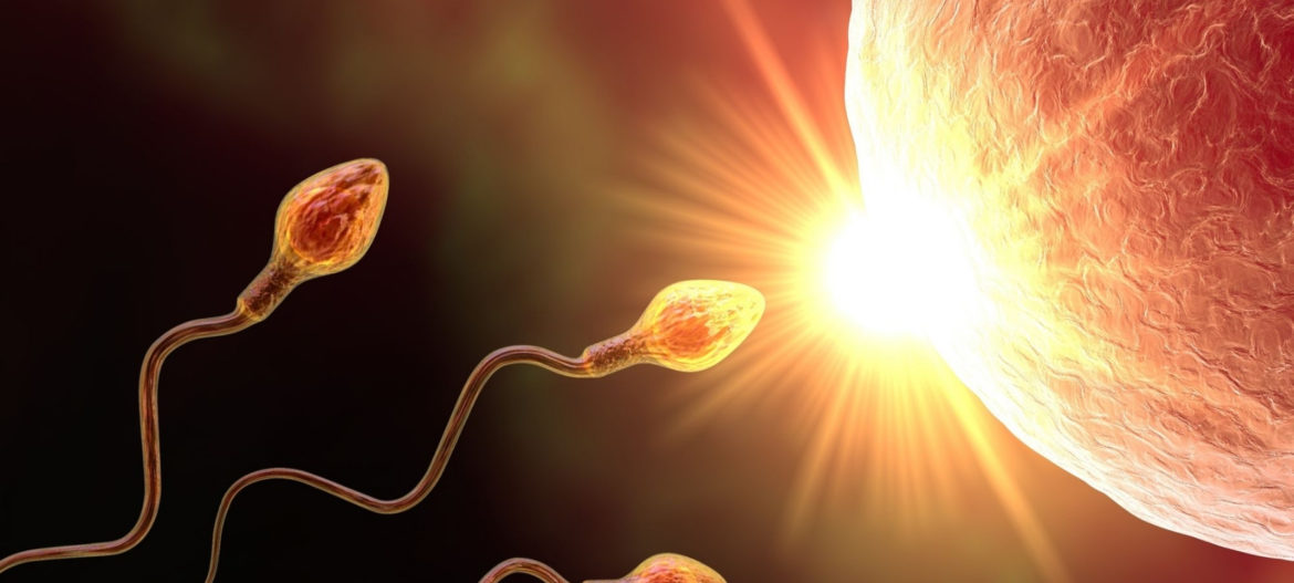Investigate Sperm and Treat the Man
