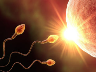 Investigate Sperm and Treat the Man