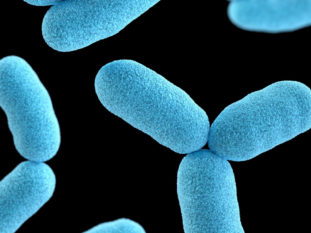 The microbiome in the semen - does it matter?