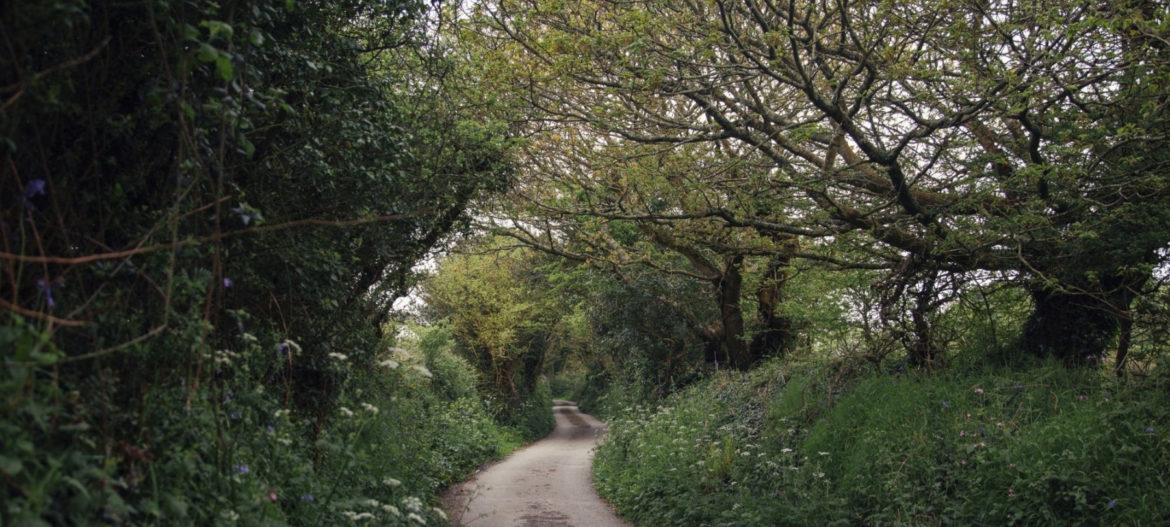 Mr Jonathan Ramsay (15) The current path Male Infertility