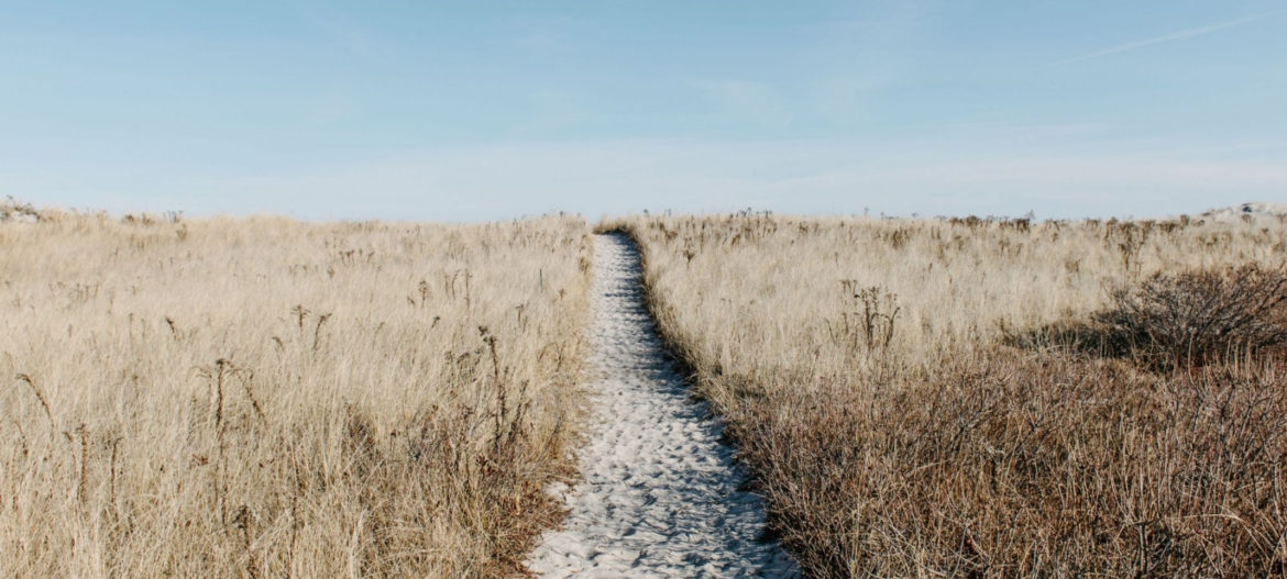 Mr Jonathan Ramsay (6) The path ahead with consultations and investigations