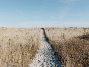 The path ahead with consultations and investigations